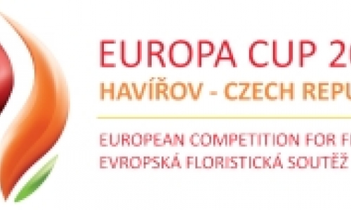 Europa Cup 2011