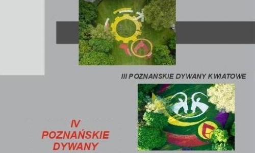 Konkurs - IV Poznańskie Dywany Kwiatowe